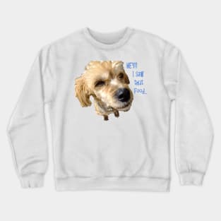 suspicious puppy Crewneck Sweatshirt